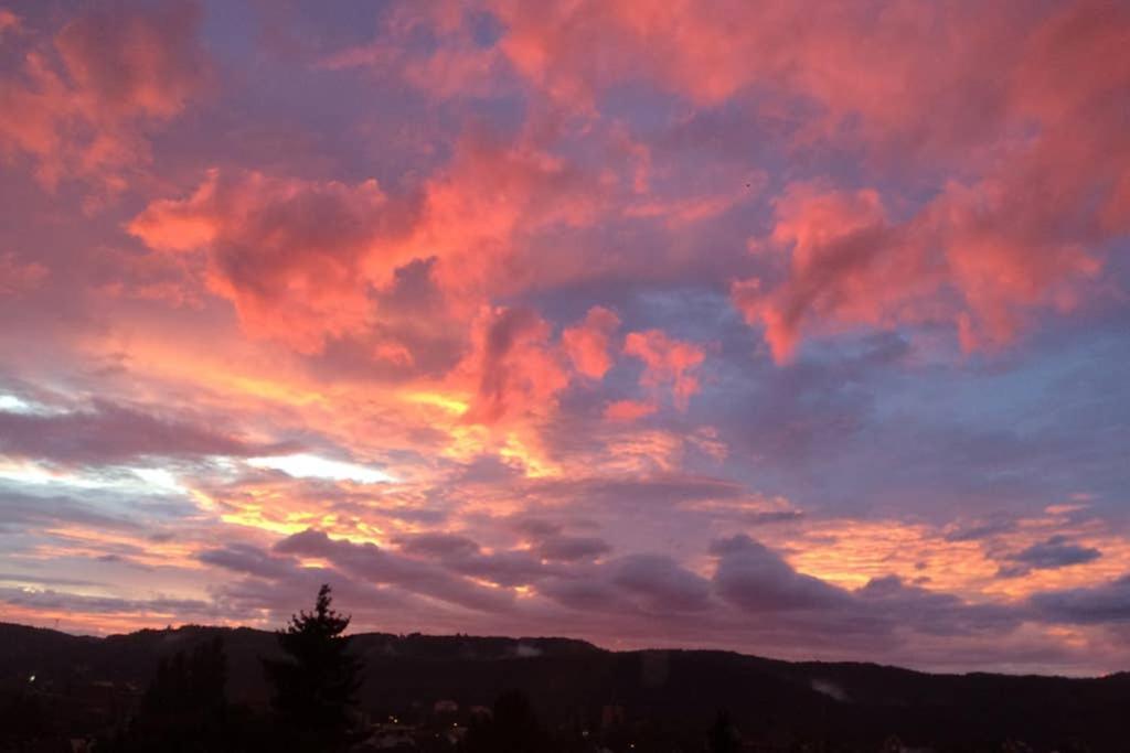 Wohlfuehloase Mit Blick Auf *
